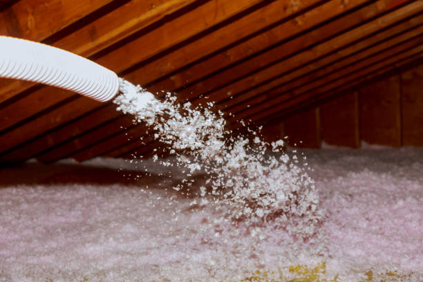 Best Energy Efficiency Insulation in Rockville, IN